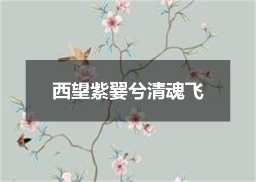 西望紫翣兮清魂飞