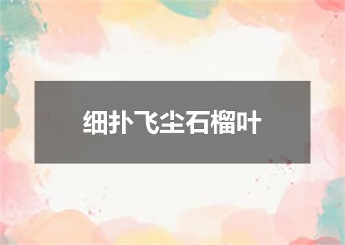 细扑飞尘石榴叶