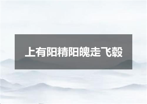 上有阳精阳魄走飞毂