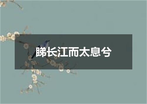 睇长江而太息兮