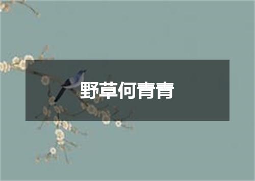 野草何青青