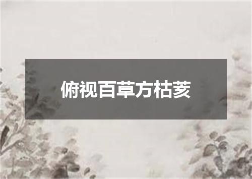 俯视百草方枯荄