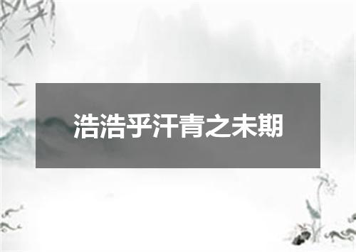 浩浩乎汗青之未期