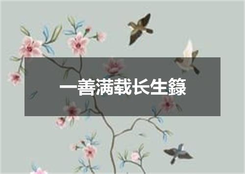 一善满载长生籙