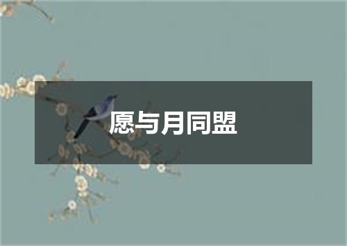 愿与月同盟