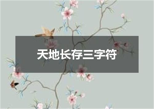 天地长存三字符