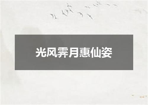 光风霁月惠仙姿