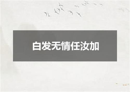 白发无情任汝加