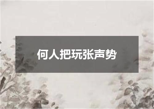 何人把玩张声势