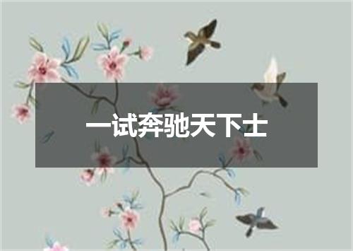 一试奔驰天下士