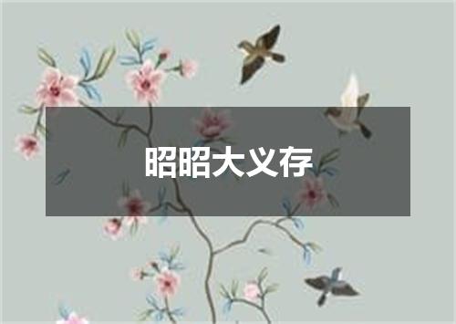 昭昭大义存