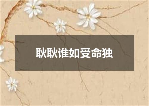 耿耿谁如受命独