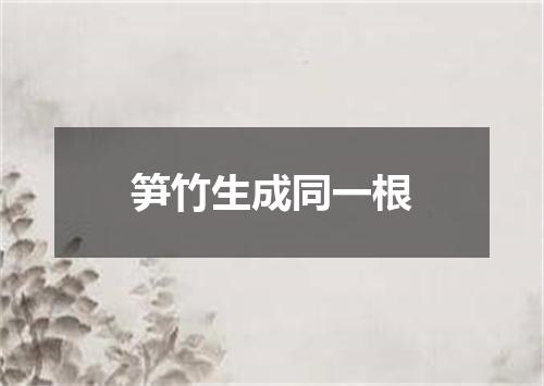 笋竹生成同一根