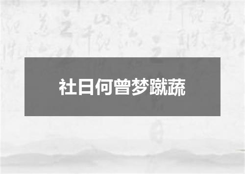 社日何曾梦蹴蔬