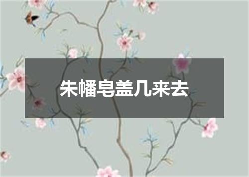 朱幡皂盖几来去