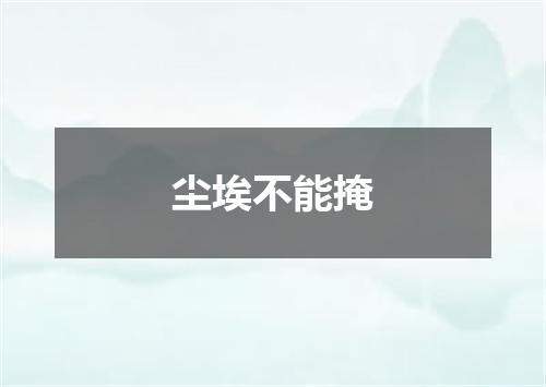尘埃不能掩