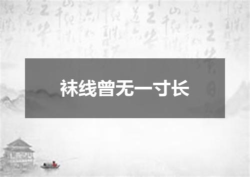 袜线曾无一寸长