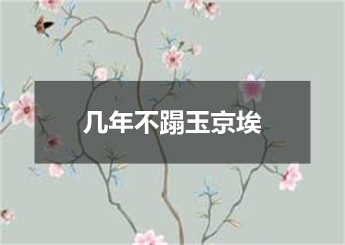 几年不蹋玉京埃