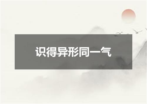 识得异形同一气
