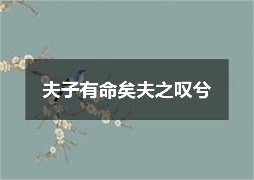 夫子有命矣夫之叹兮