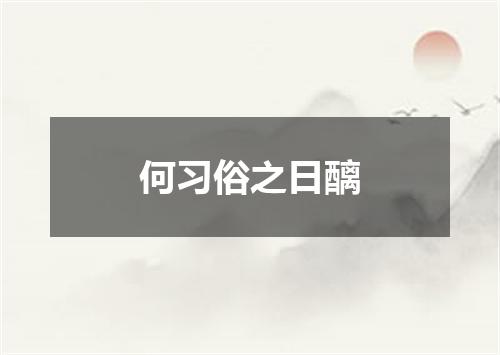 何习俗之日醨