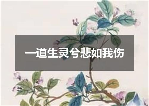 一道生灵兮悲如我伤