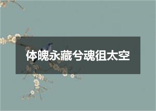 体魄永藏兮魂徂太空