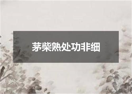 茅柴熟处功非细