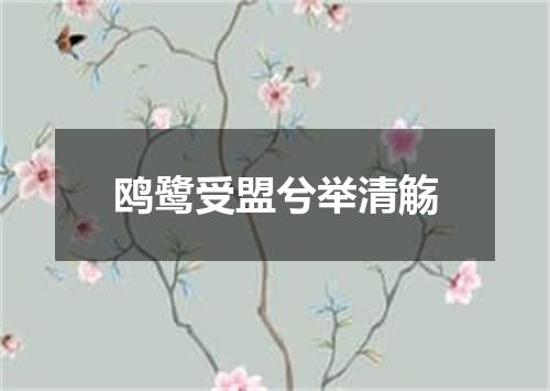 鸥鹭受盟兮举清觞