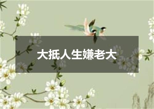 大抵人生嫌老大