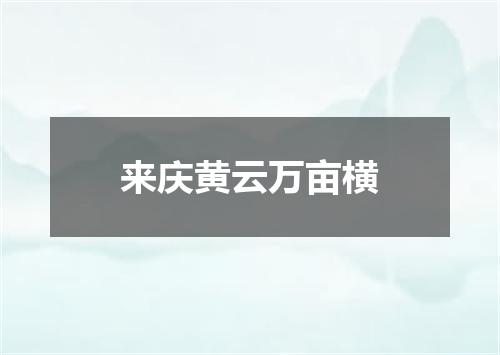 来庆黄云万亩横