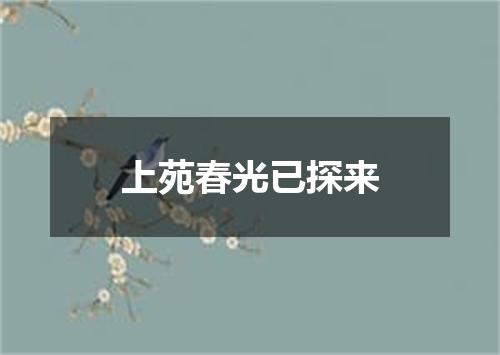 上苑春光已探来