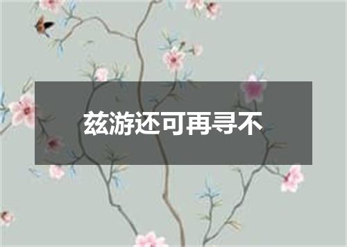 兹游还可再寻不