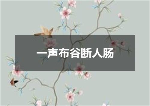 一声布谷断人肠