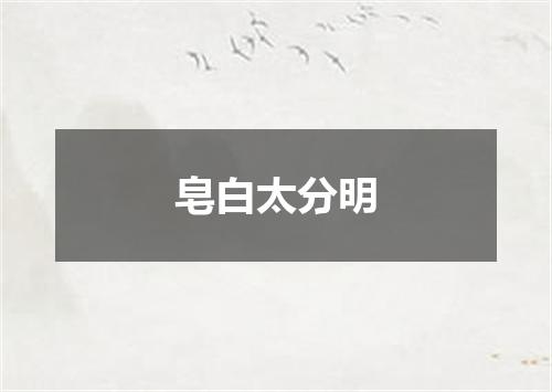皂白太分明