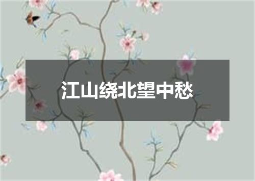 江山绕北望中愁