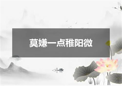 莫嫌一点稚阳微