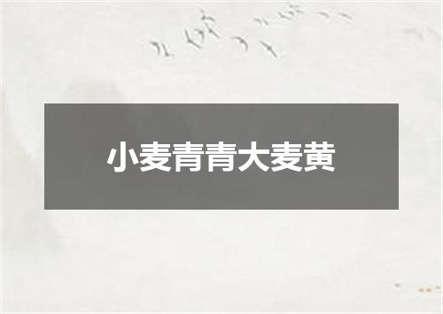小麦青青大麦黄