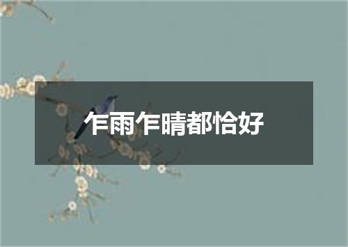 乍雨乍晴都恰好
