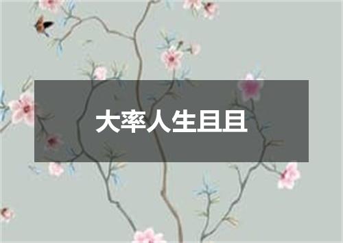 大率人生且且