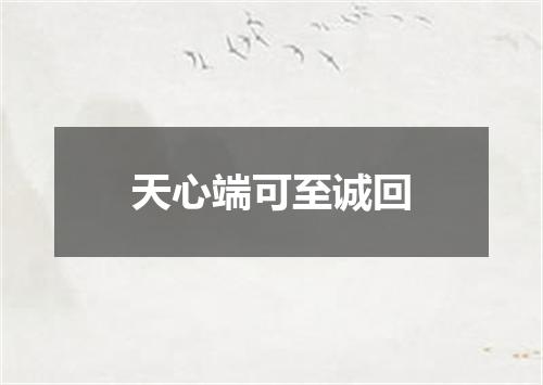 天心端可至诚回