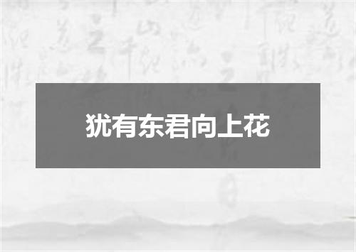 犹有东君向上花