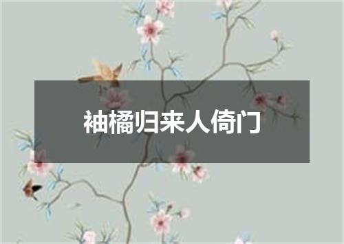 袖橘归来人倚门