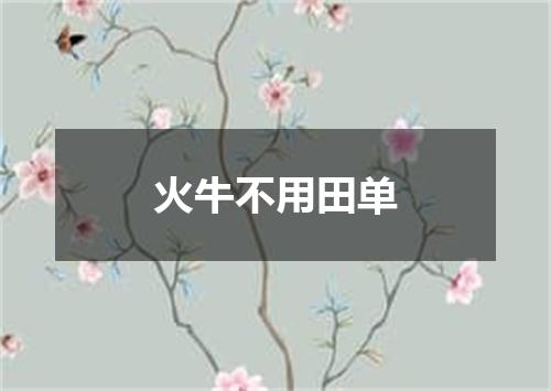 火牛不用田单