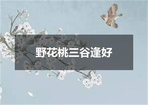 野花桃三谷逢好