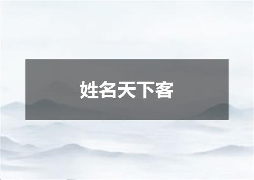 姓名天下客