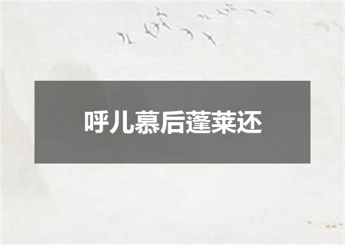 呼儿慕后蓬莱还