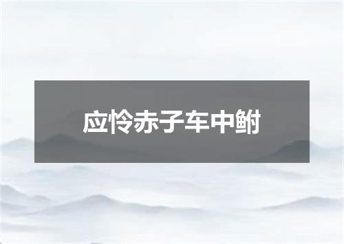 应怜赤子车中鲋