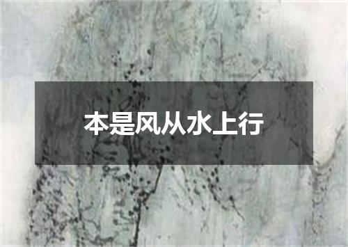 本是风从水上行