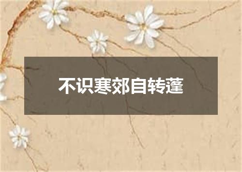 不识寒郊自转蓬